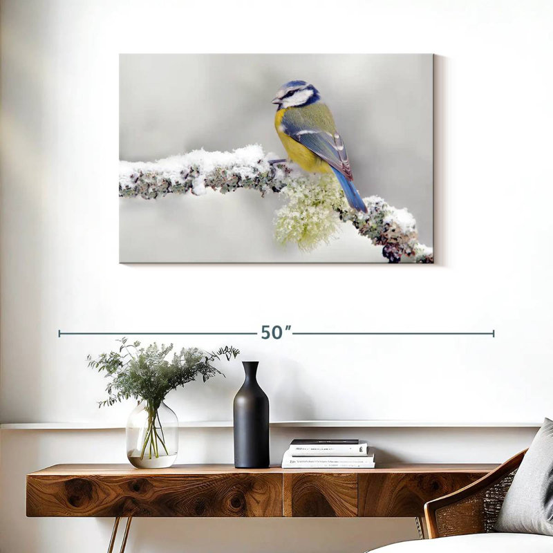 Crowle Blue Tit Songbird