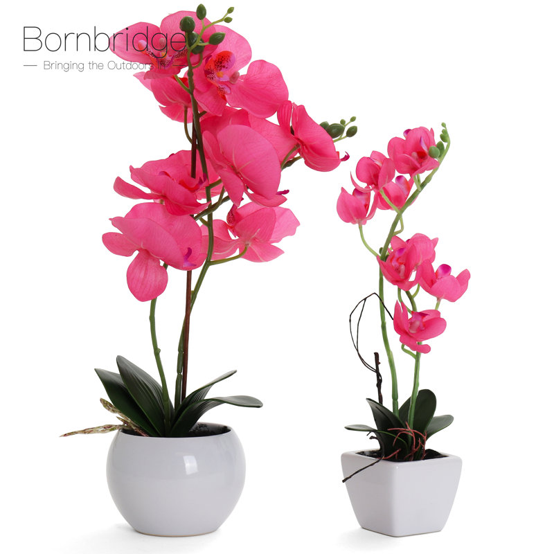 Orchidée artificielle dans un vase, Rose vif