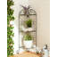 CORNER PLANT STAND