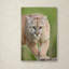 Ann «Cougar», reproduction d'impression sur toile tendue-24189460