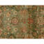 Hand Knotted Wool Oriental Area Rug in Green And Ivory