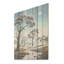Baobab africain dans la nuit - arbre, baobab, art sur bois de pin naturel-54774607