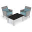 Argento Club Patio Chair with Cushions-609773008