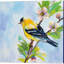 Oiseau bleu, mésange, pinson doré et mésange par Jeanette Vertentes, art sur toile (ensemble de 4)