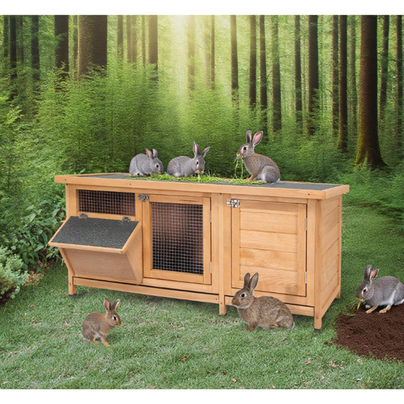 Cage à lapin