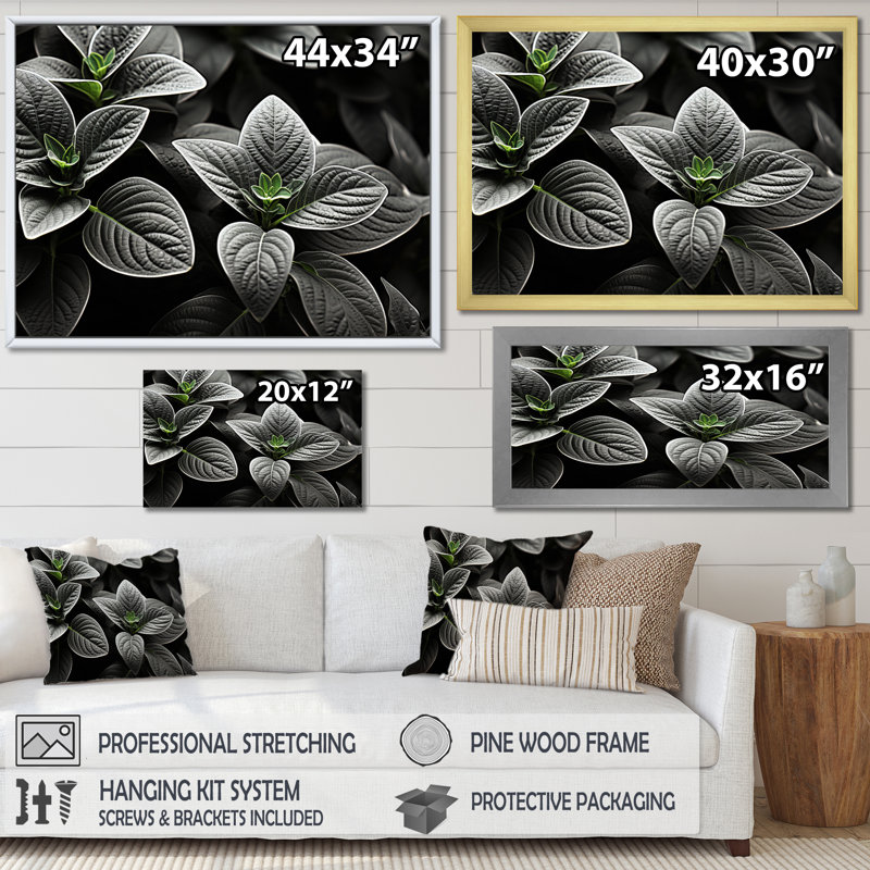Plantes grises, sérénité botanique sur toile, Cadre photo noir, H 30 po x l 40 po x P 1,5 po