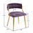 Christal 21.65'' W 4-Piece Velvet Dining Chair Set with Metal Legs-49230375