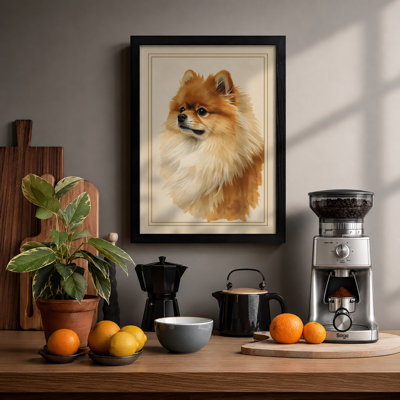 Pomeranian Portrait Vintage - Framed Print