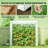 Outdoor Mini Greenhouse,Modern Greenhouse-123831027