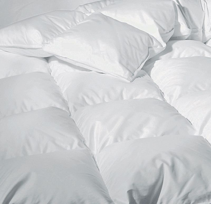 Villa Goose All Season Down Comforter, Queen