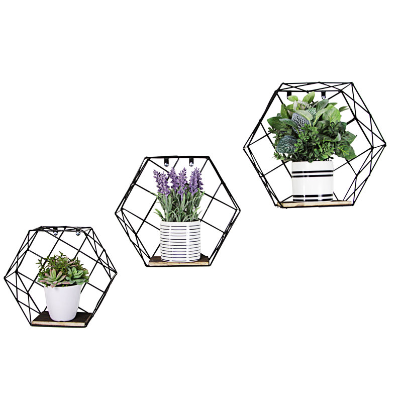 Murray 3pcs Hanging Shelves, Accent Wall Shelf, Hexagon Wire Floating Shelves, Geometric
