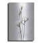 Lisianthus blanc par Design Fabrikken - impression sans cadre sur métal-462108464