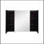 Miroir 36x26 pouces à DEL noir
