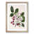 Oak Framed selected