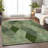 Premium Machine Washable Prisco Green Rug-110278099
