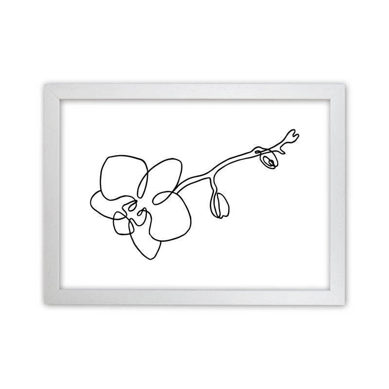 Orchid - Print, 34cm H x 46cm W x 3cm D, White Frame