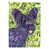 Skye terrier