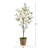 Cherry Blossom Tree in Farmhouse Planter