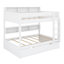 Bunk Bed with Roll-Out Trundle for Extra Sleeping Space-1835746011