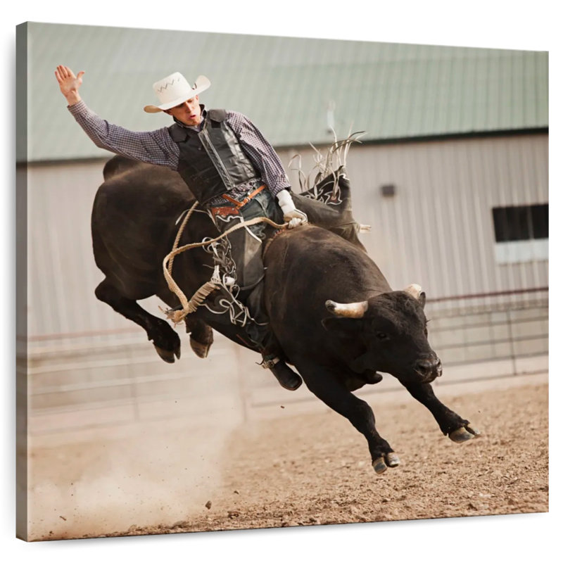 Rodeo taureau Brampt Cowboy, H 10 po x l 10 po