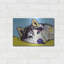 «Siberian Husky 2» par Dean Russo - peinture sur métal sans cadre-1857898310