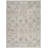 Jacary Oriental Power Loom Polyester Area Rug in Blue/Brown/Ivory-97432680