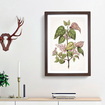 Pink Flowering Flowers by Sarah Featon - Framed Print