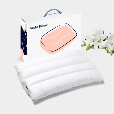 Oreiller en soie Vesta Limezen - mince, plat, 100% soie avec housse de refroidissement lavable, parfait pour les personnes qui dorment sur le dos et le ventre (2,5 po de hauteur, doux)