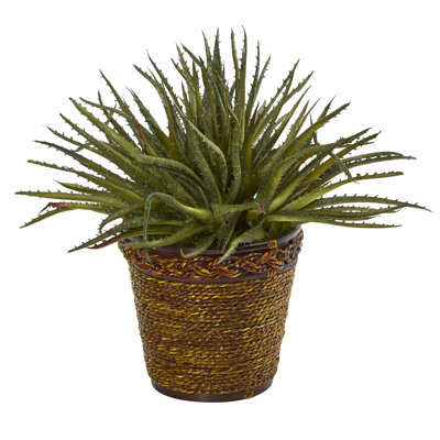 13'' Faux Aloe Plant in Wicker/Rattan Basket