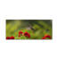 «Happy Little Hummingbird» par Kurt Shaffer, reproduction de photo sur toile-238830160