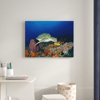 « turtle », art sur toile photo