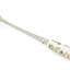 The Original Morris & Co. Pastry Forks