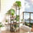 8-Tier Metal Plant Stand For Indoor Plants, Corner Shelf Organizer With Rustic Brown Finish For Living Room, Balcony, And Patio