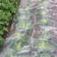 Filet anti-insectes en plastique-51900146