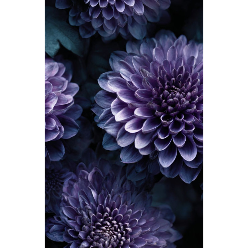 Papier peint floral