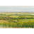 Wine Country View I by Tim OToole - Wrapped Canvas Painting-971720144
