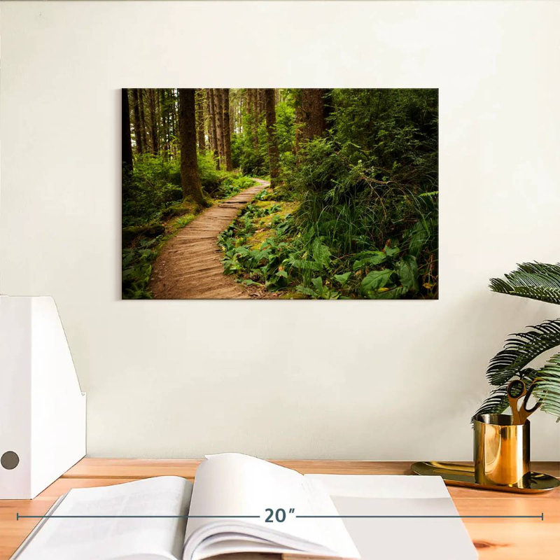 Sentier de randonnée Alvord Redwoods, H 8 po x l 12 po