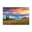 No Frame Print on Canvas-1952057882