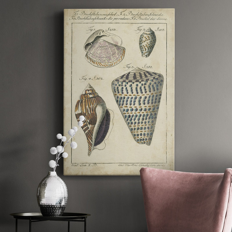«Vintage Shell Study II», impression sur toile tendue, H 18 po x l 12 po x P 1 po