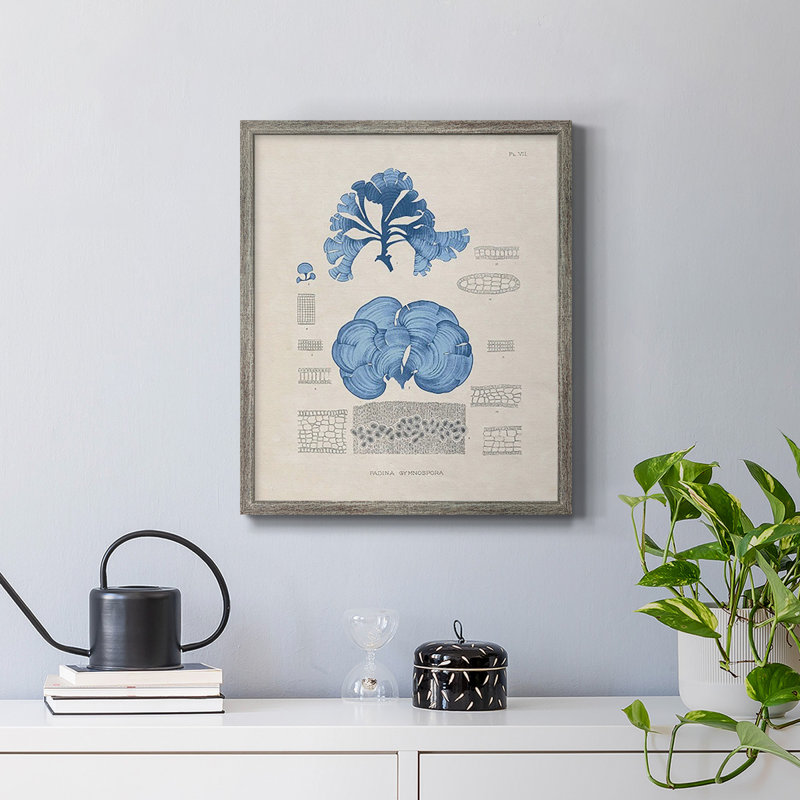 «Blue Marine Algae IV», toile encadrée de qualité supérieure - prête à être accrochée, H 24 po x l 20 po, Argent patiné