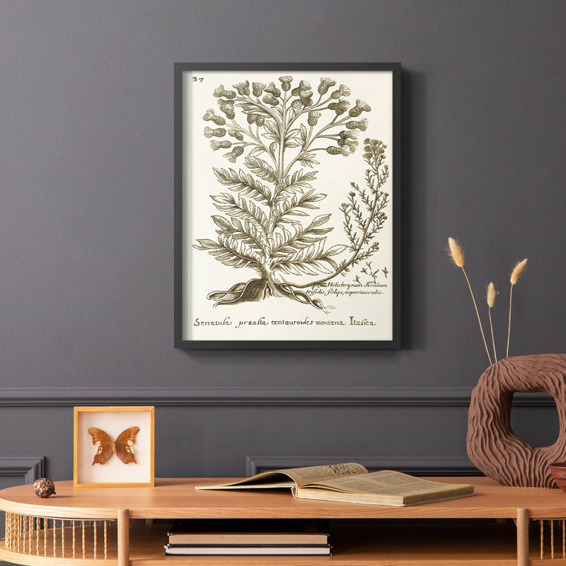 «Sepia Botanical Journal I», reproduction encadrée - bois massif, Noir, H 10 po x l 8 po