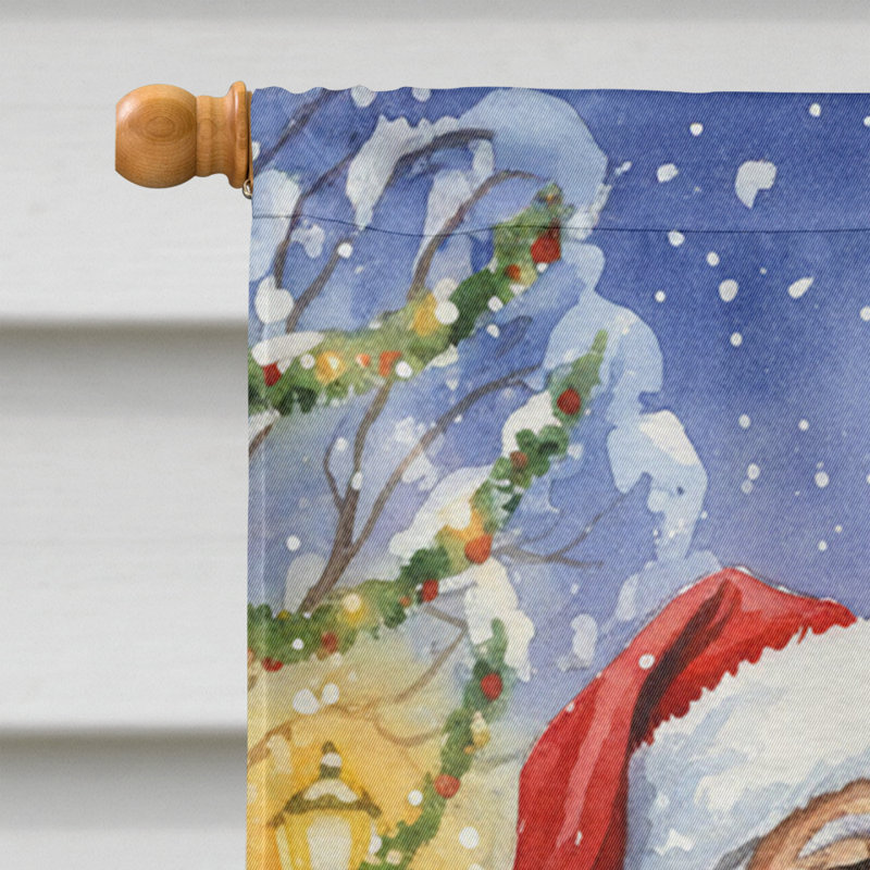 Labrador retriever jaune avec le drapeau de la maison du père Noël, Taille de la maison, Jaune labrador retriever