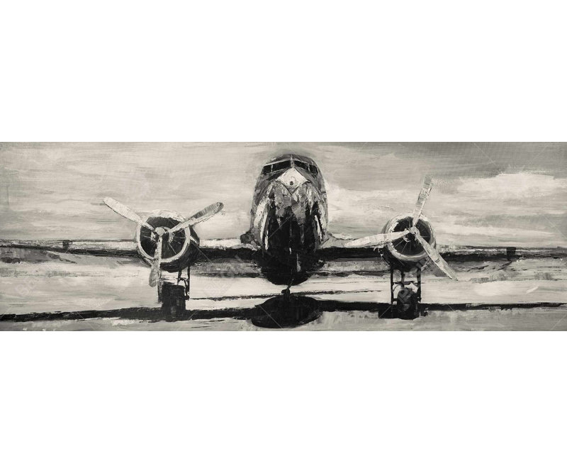 Toile d'aviation industrielle blanche - Sépia avion