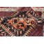 Aryana Wool Oriental Area Rug