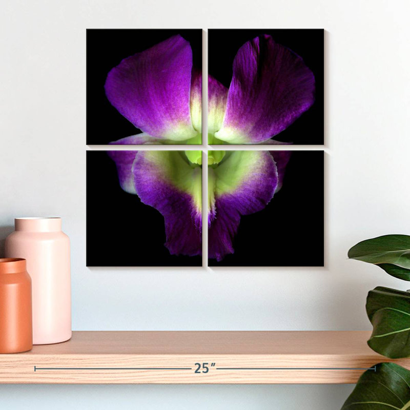 Harnek Solo Orchid
