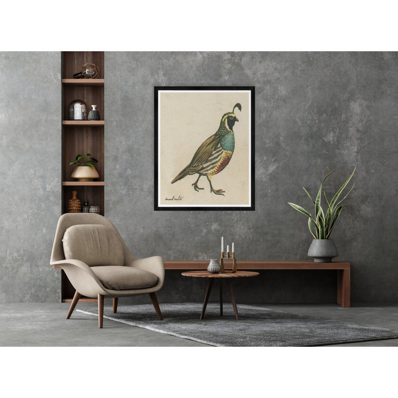 Quail Print