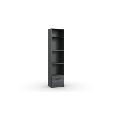 Ossineke 198 cm H x 47 cm W Standard Bookcase