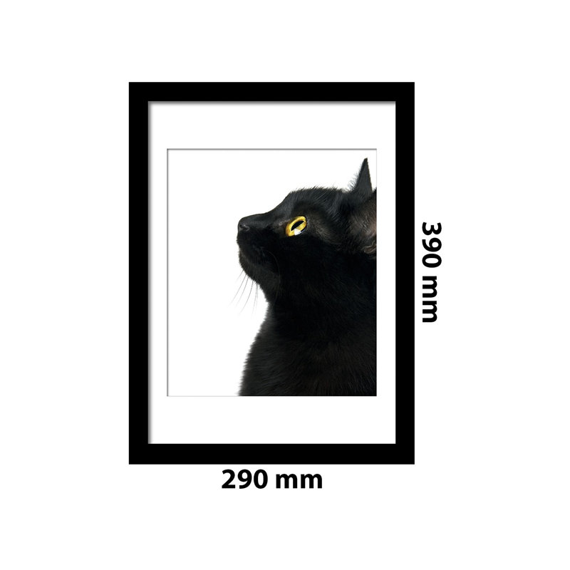Single Picture Frame Print