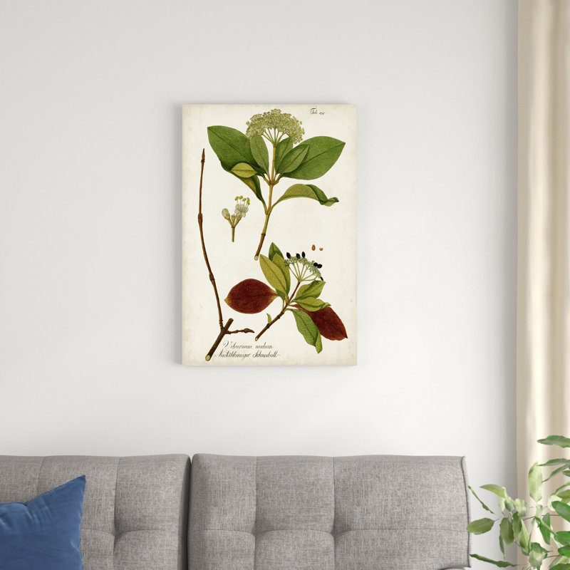 Verdure antique II, H 30 po x l 20 po