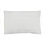 Elegant Sea Shells Poly Filled Pillow-109070082-109070084-109070086